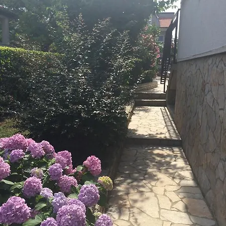 Mirela Apartmán