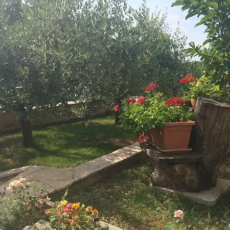 Mirela * Poreč