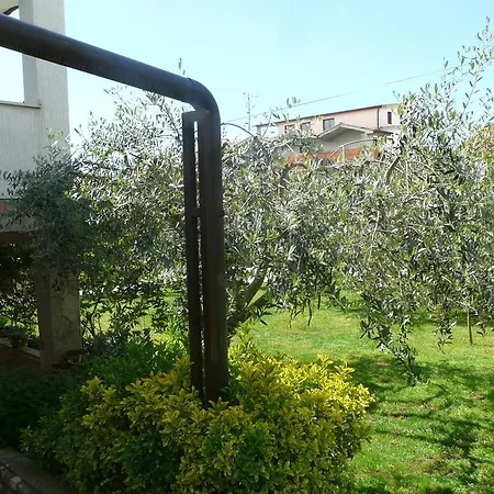 Mirela Apartmán